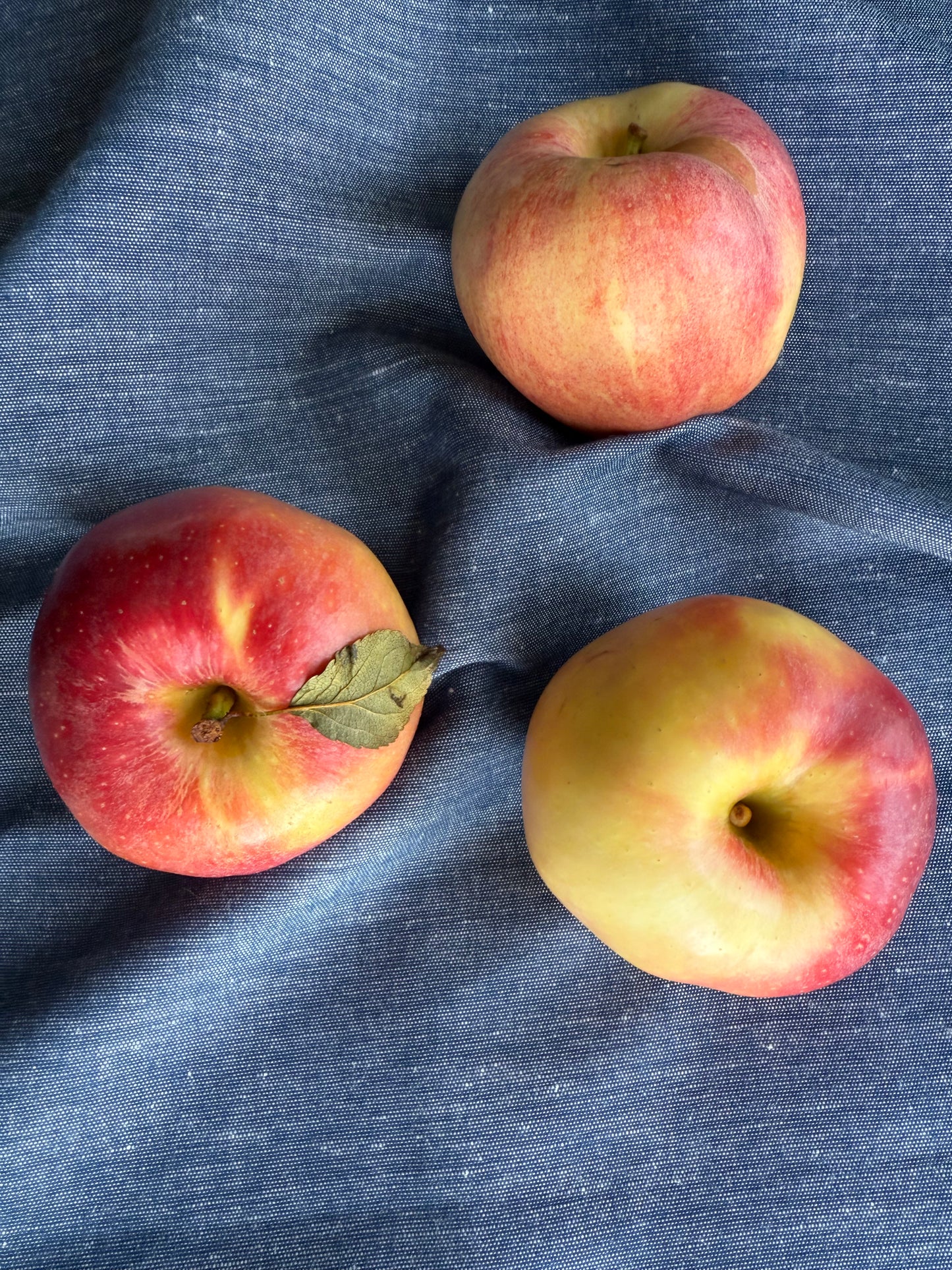 Набір ляних кухонних рушників кольору Чорного моря