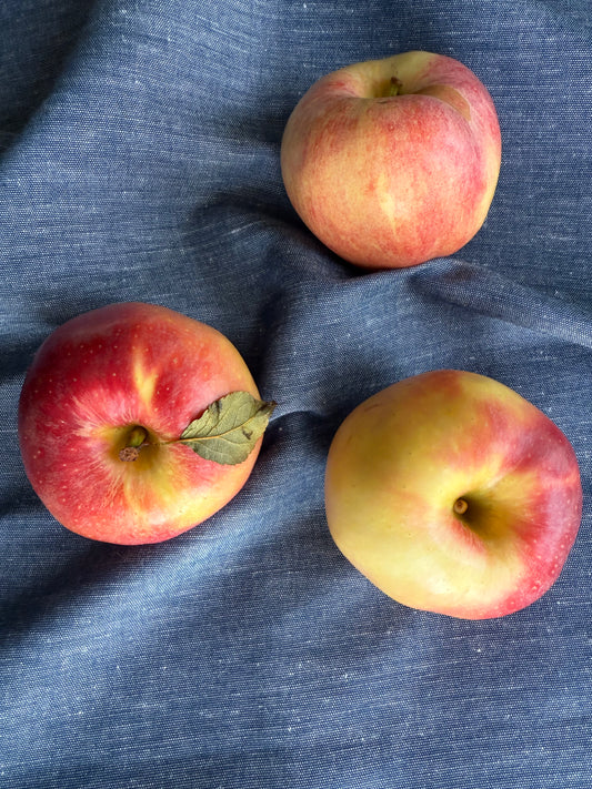 Набір ляних кухонних рушників кольору Чорного моря